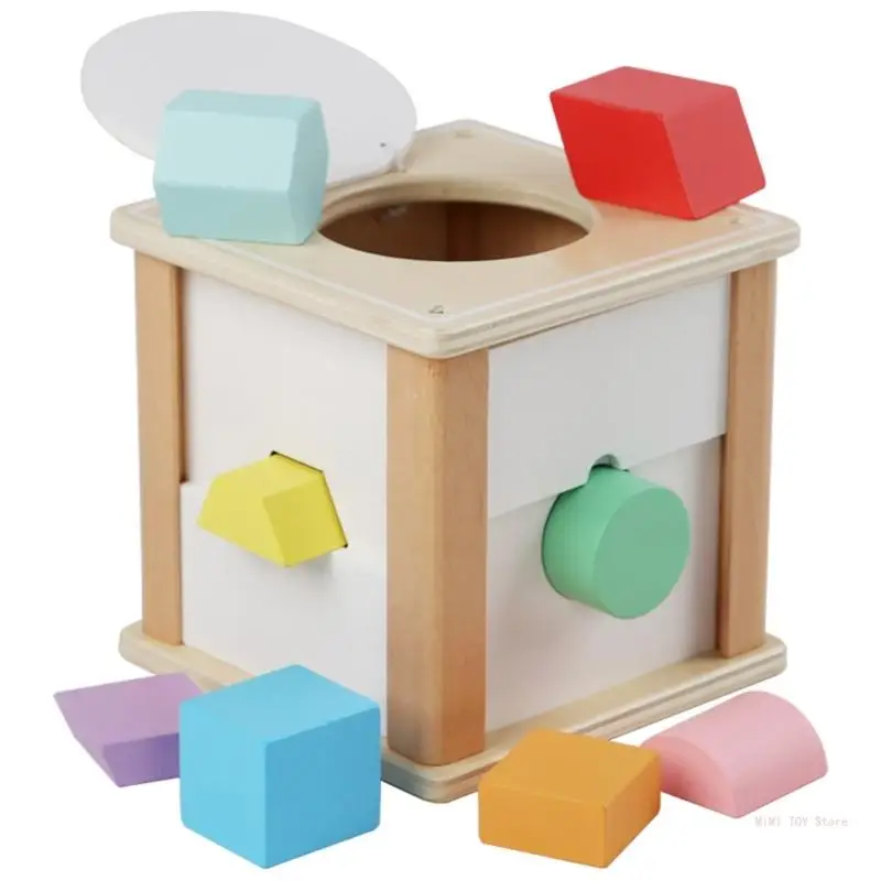 

Multi-Shape Puzzle Toy Grasping Fine Motor Toddler Educational Color Matching