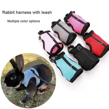 Breathable Small Pet Harness Set 1
