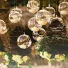 Transparent Hanging Glass Vases Ball Clear Hanging Tealight Holder 6/8/10/12/15cm Borosilicate Glass Glass Planter Moss 2