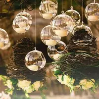 Transparent Hanging Glass Vases Ball Clear Hanging Tealight Holder 6/8/10/12/15cm Borosilicate Glass Glass Planter Moss 2