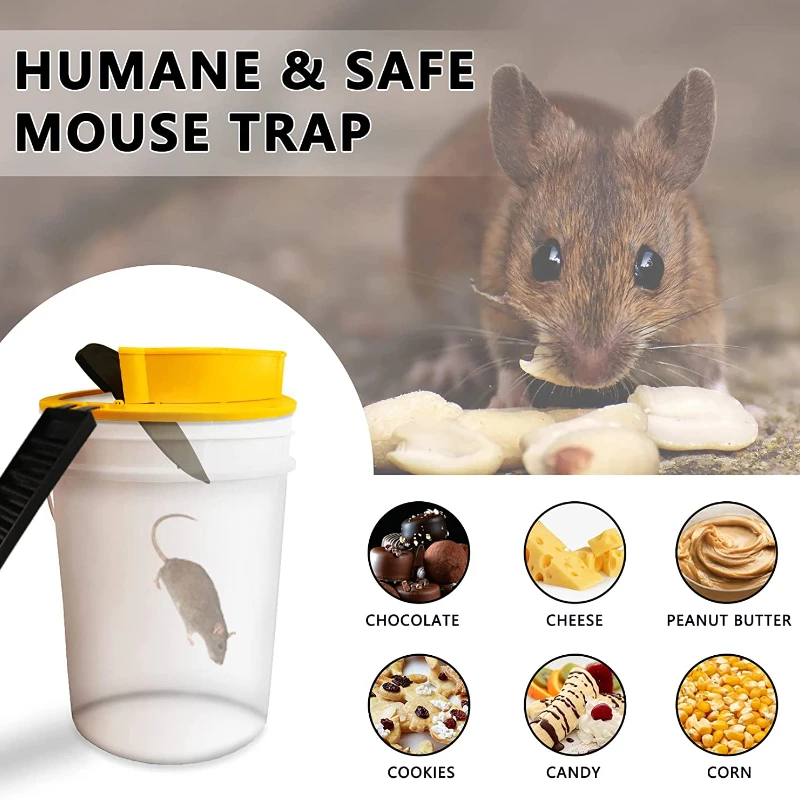 Mouse Trap, Small Mice Trap Indoor Quick Effective Sanitary Safe Mouse  Catcher For Family And Pet - 12 Pack