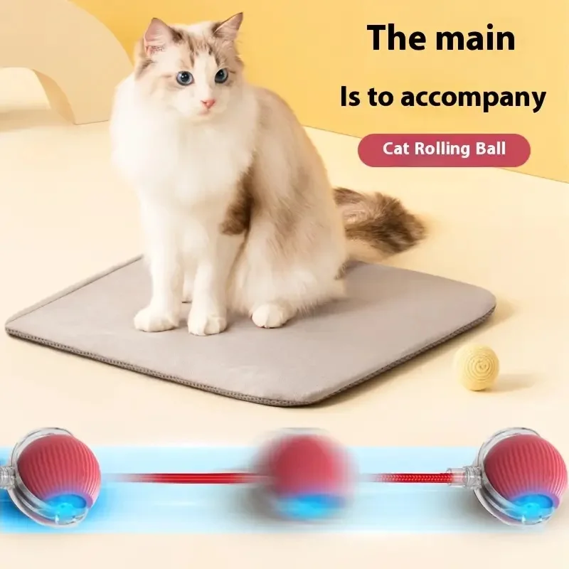 Long tail toy ball USB rechargeable cat training toy training cat observation and capture abilities suitable for all cats Pet Toys Cat Toy