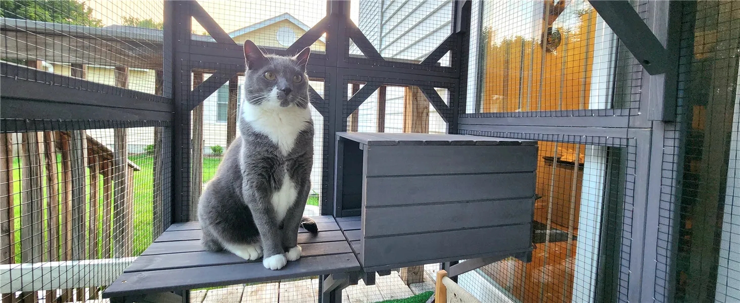 catio outdoor cat enclosure