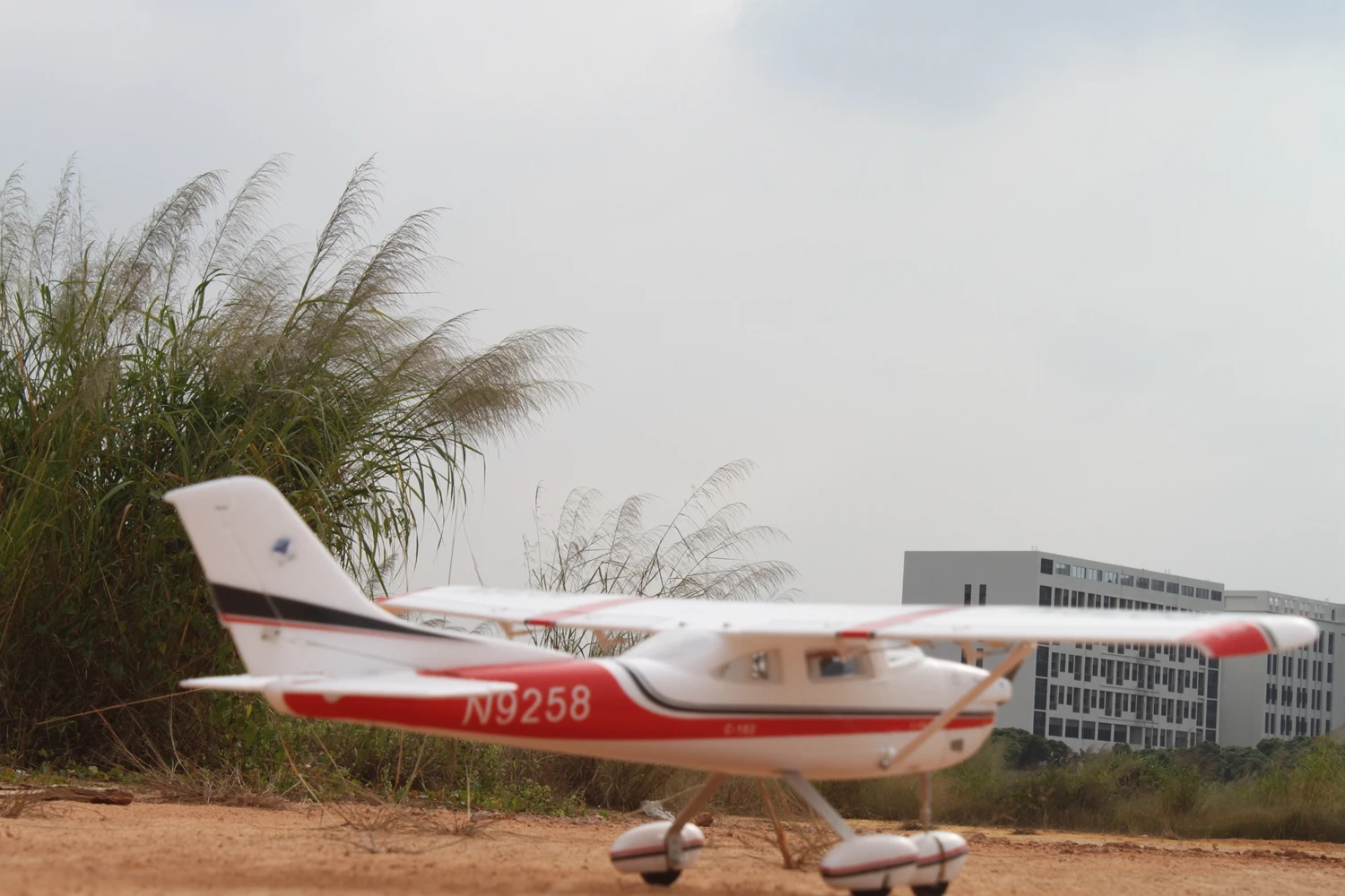 CESSNA 182 ディスプレイモデル　翼幅約43センチ 楽天市場】CESSNA182セスナ182スカイレーン : SKY LIFE with