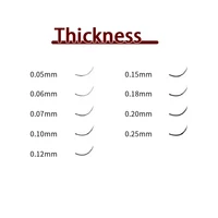 Personnalisation de cils, conception de logo privé, extensions de cils individuelles, OEM&ODM, vente en gros, étiquetage privé, 12/16 rangées 4