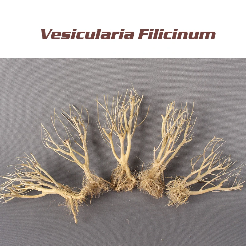 Fish Tank  Branch Driftwood Nature Wood Natural Tree Trunk Driftwood Aquarium Plant Aquario Aquarium Decoration Ornament