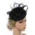 Women Fascinator Hat with Headband and Clip，Ascot Mesh Flower Feather Headwear Kentucky Derby Headpiece for Women Girls 9