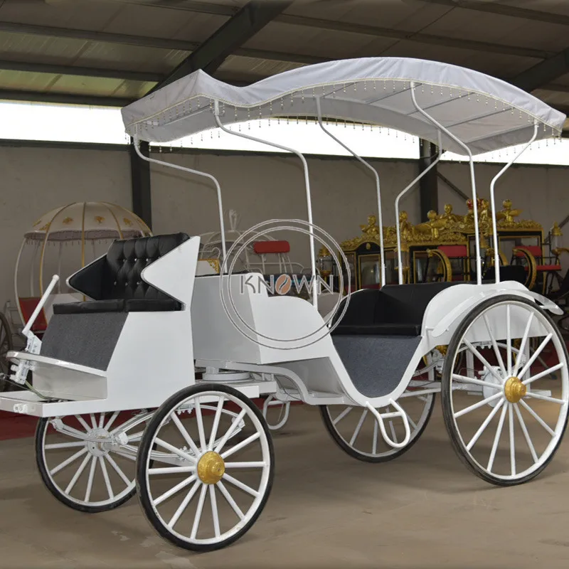 Рисунок 3 - Лидер продаж, 4-колесный прицеп принцессы