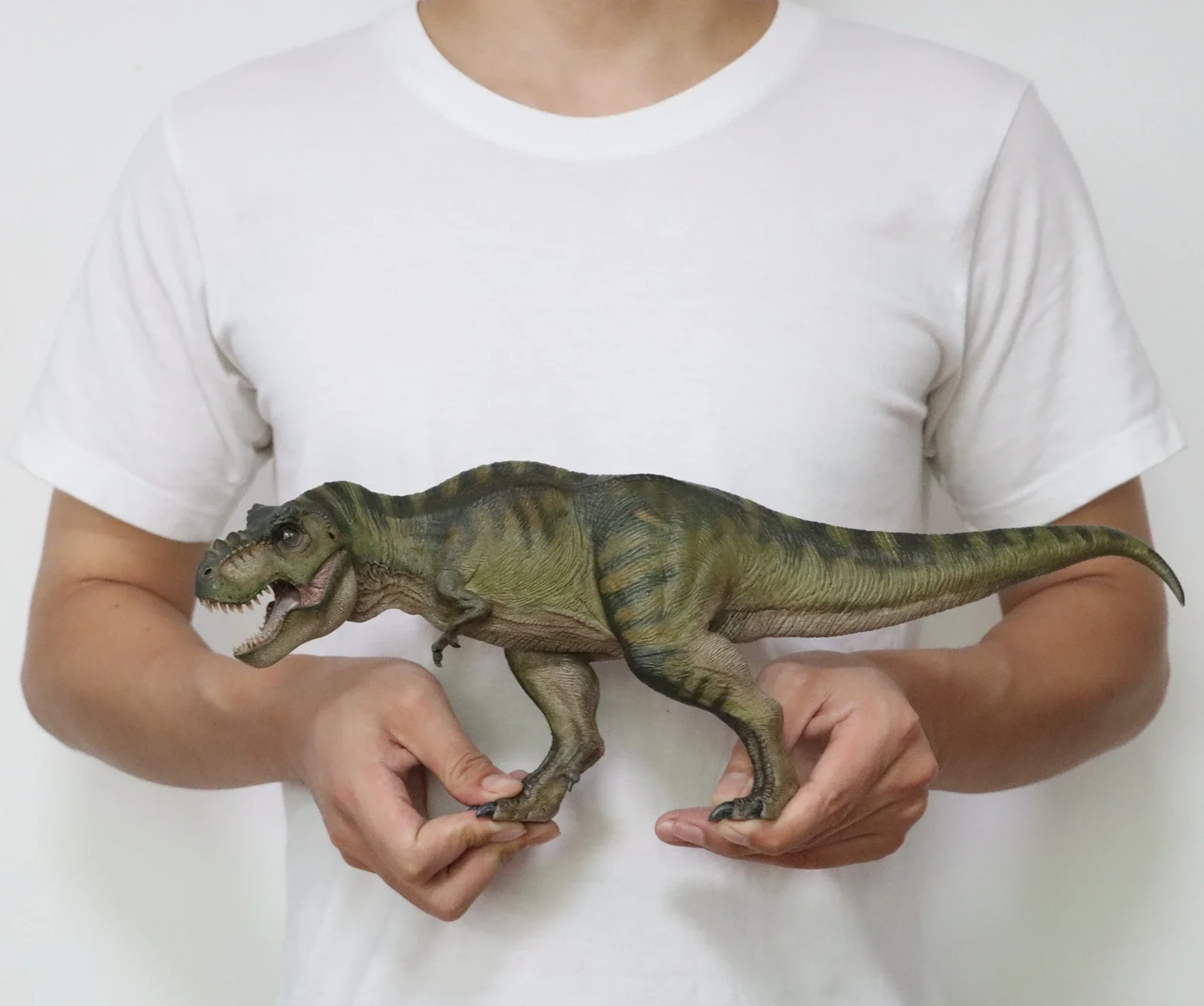 Eofauna 1/35 サイズ ティラノサウルス T-REX 恐竜フィギュア 31UAR9rHSHL.jpg_BO30,255,255,