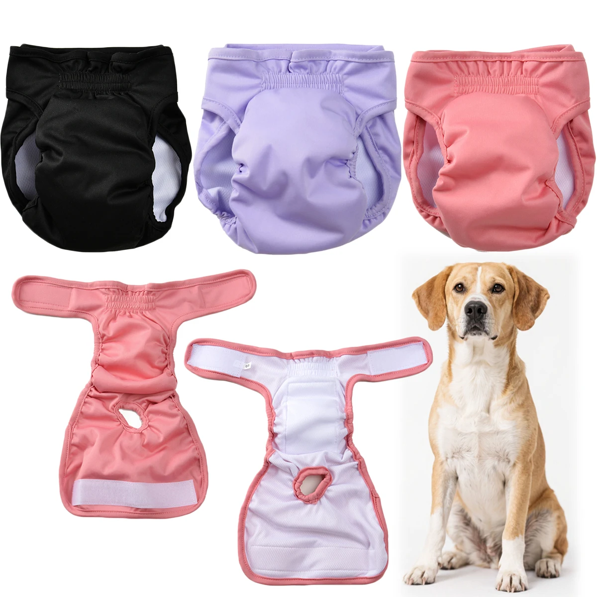 Washable Female Dog Reusable Diaper 1