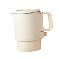 Electric Water Kettle Small Kettle Multifunction for Business Household Milk 2