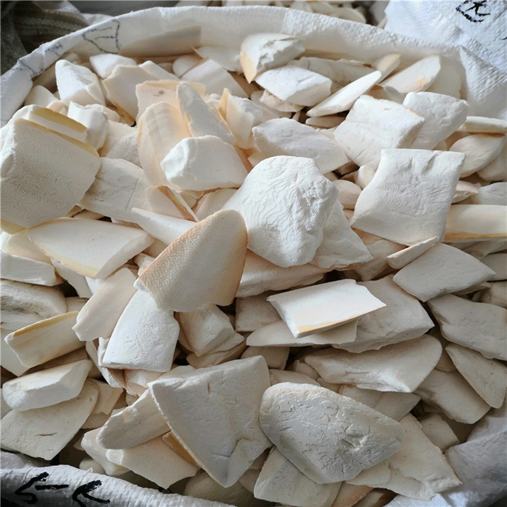 Cuttlefish Bones Pet Parrot Perch Hamster Hanging Bell Calcium Supplements Molars Chewing Toys Bird Food Parakeet Cockatiel Cage parrot toy,bird toy