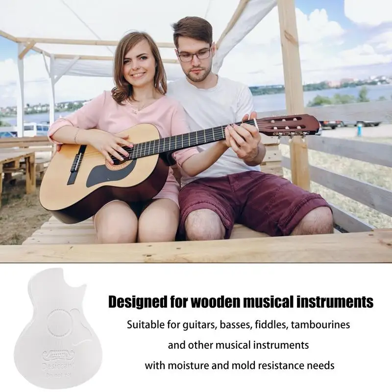 Moisture Absorber For Musical Instrument Humidity Absorber Dehumidifier Moisture Absorbers Electric Guitar Driers