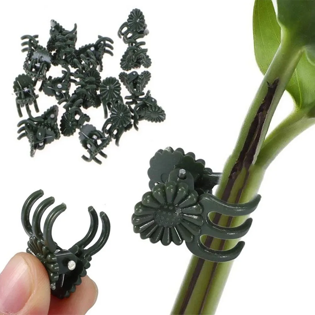 

20/50/100PCS Plant Support Clips Tied Vine Clips Plant Clips For Grafting Phalaenopsis Clips Gardening Accesorries