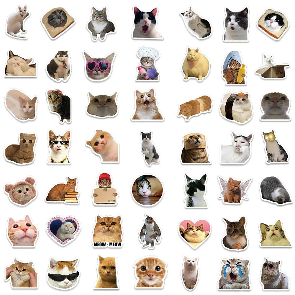 Scrivimi la cosa più divertente/pazza che ha fatto il tuo gatto 🤣🤪 :  r/cats, image size:1000x1000