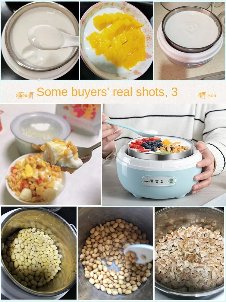 220V Bear yogurt machine, small, fully automatic, intelligent timing, multifunctional rice wine and natto fermentation pot