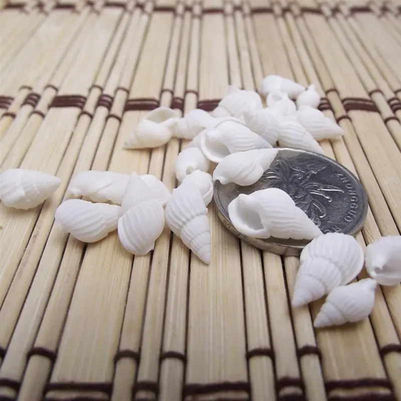 Natural Shell Ornaments 100pcs Mini Sea Shell Conches