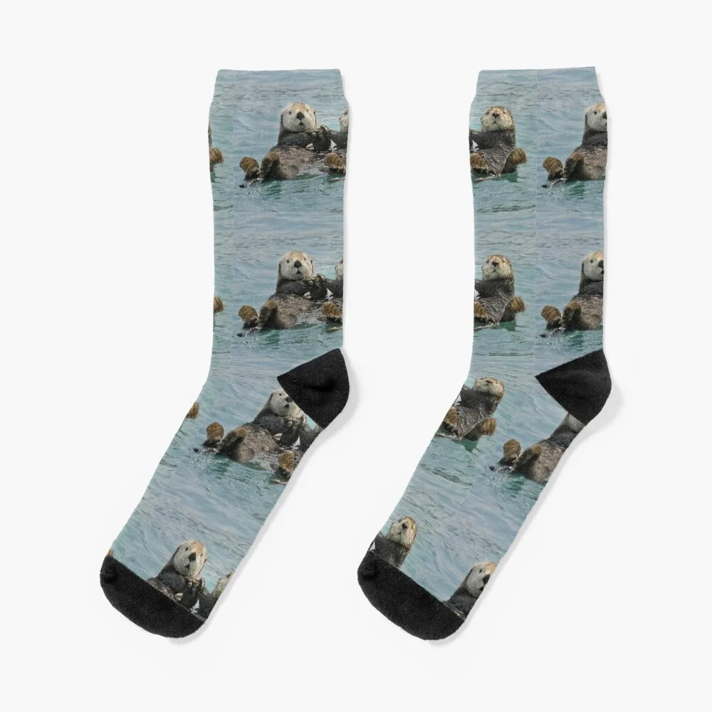 Sea Otters Socks Climbing socks Christmas Men Socks Women's boeing 747 family blueprint dark blue socks christmas stocking aesthetic crossfit climbing socks men s women s