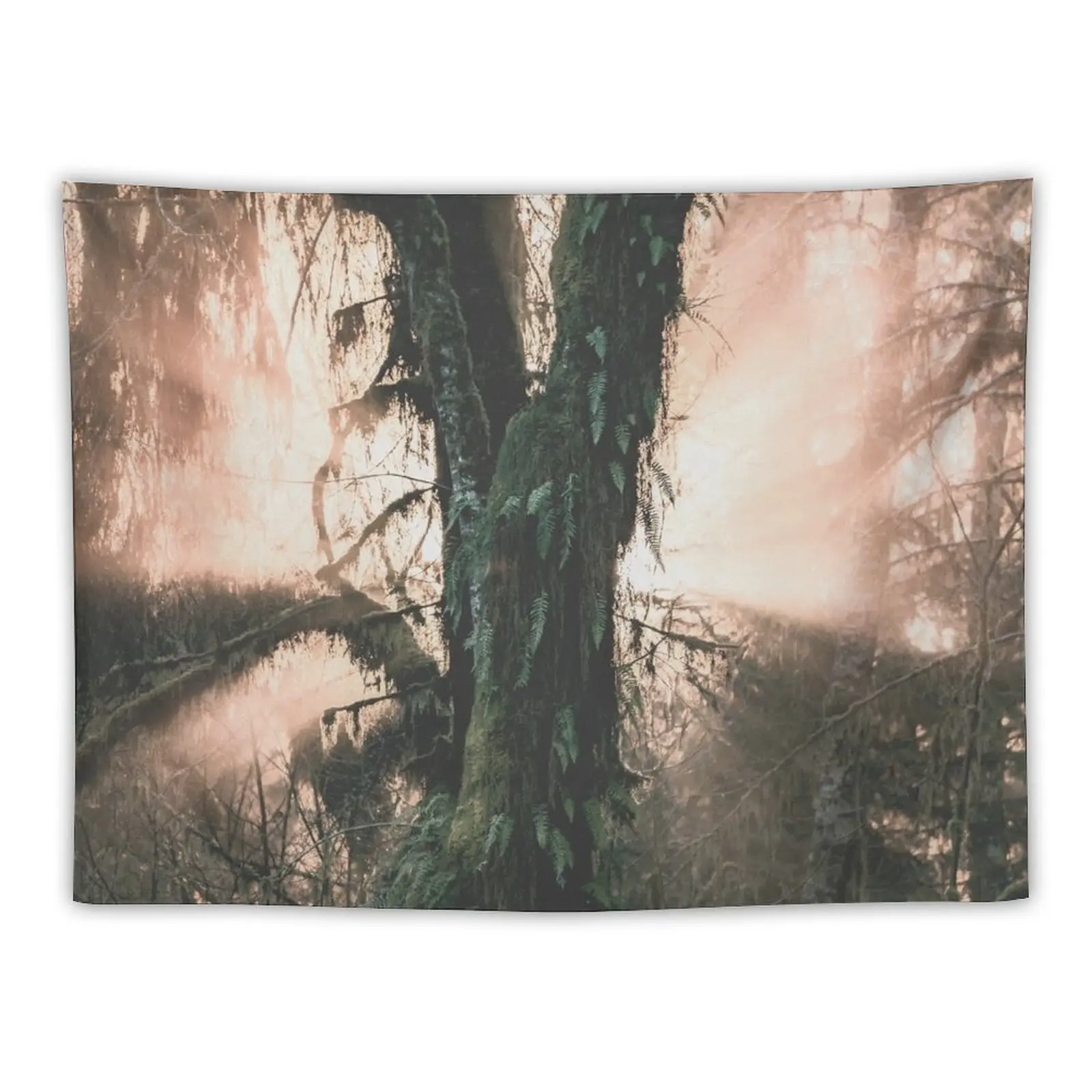 

Hoh Rainforest Treasure Tapestry Mushroom Tapestry Custom Tapestry Wall Art