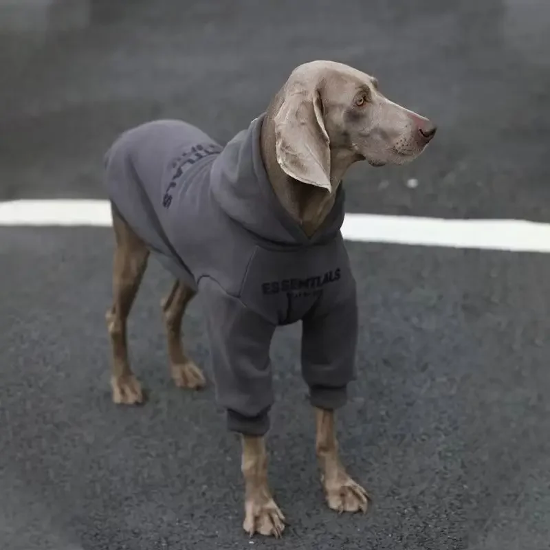 Pet large dog clothes autumn winter padded thickened color blocking hooded English dog sweater