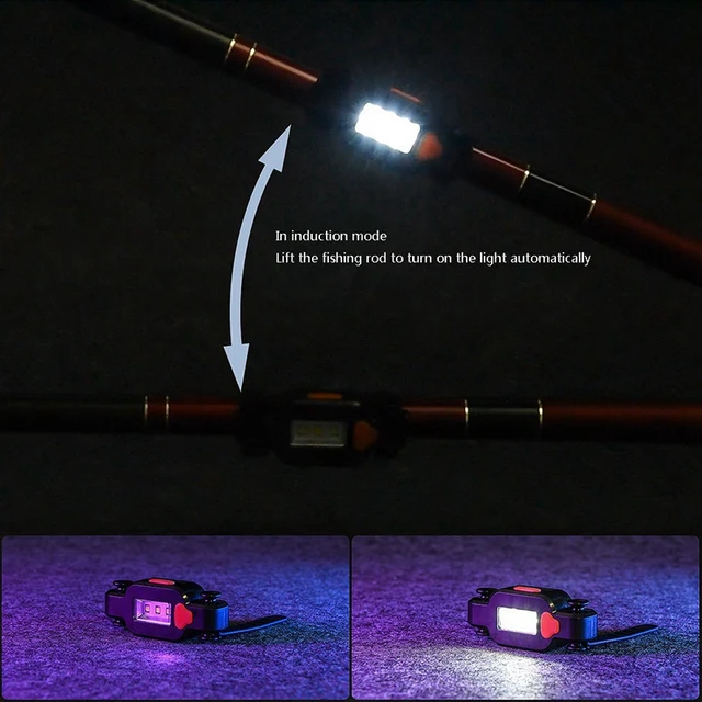 Newest Electronic LED Fishing Rod Sensor Light Gravity Induction Lamp Fish  Bite Sound Alarm Bell For Night Fishing - AliExpress