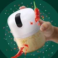 250ml Electric Garlic Masher Multi-Function Food Processor Machine USB Kitchen Gadgets Automatic Home Use Meat Grinder 4