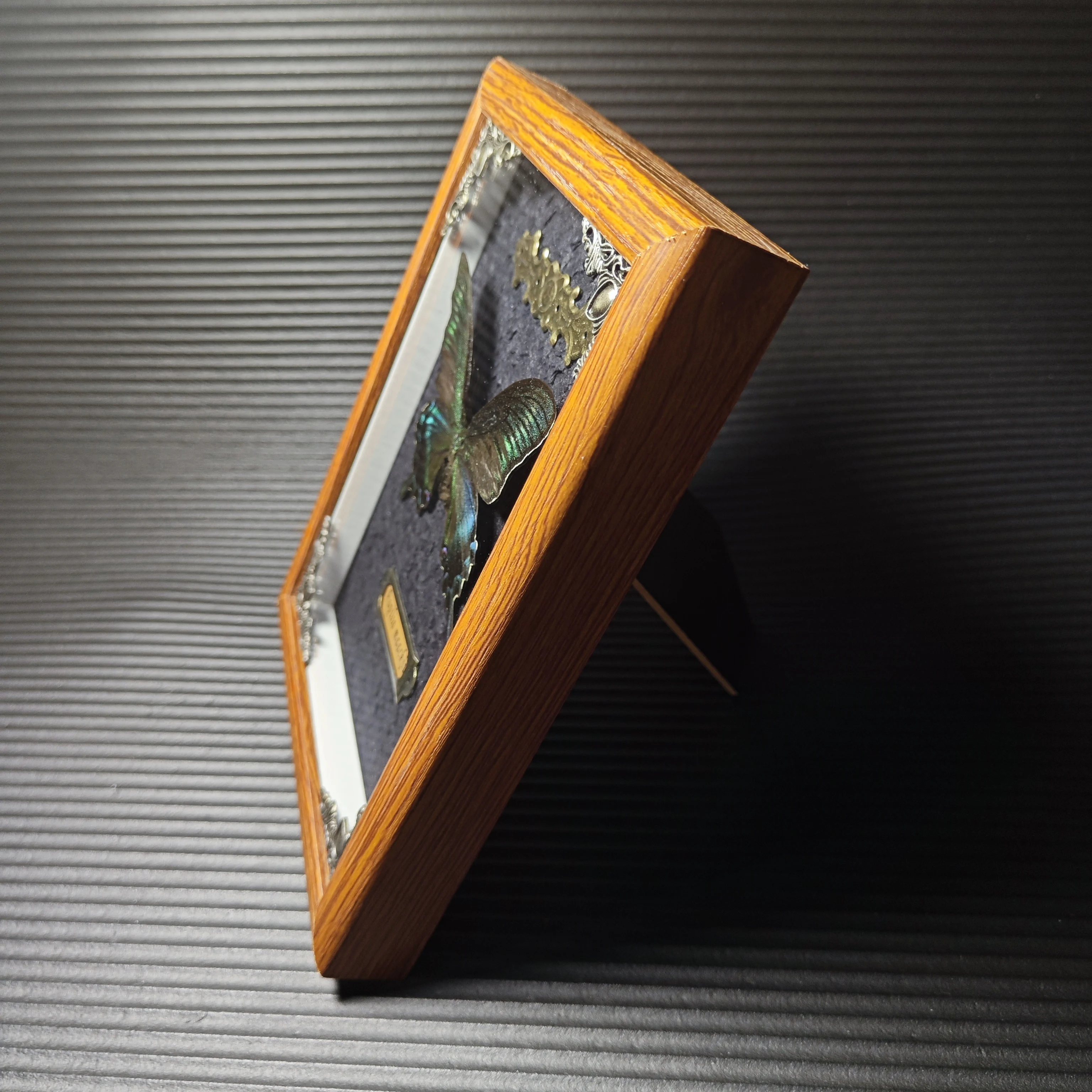 Real butterfly wood Picture Frame specimen Home decoration Birthday gift 5