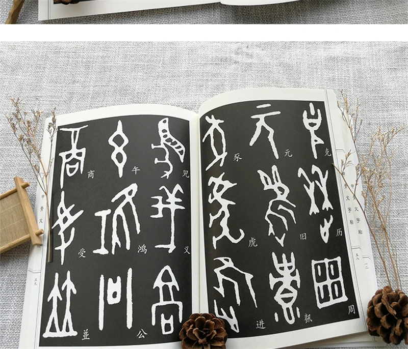 Oracle Knochen Skript Wörterbuch Copybook Chinesischen Zeichen Kalligraphie Sammlung Tutorials Buch Pinyin Index Mit Anmerkungen – Detail 28