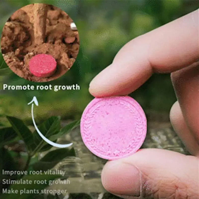

Slow Release Fertilizer Slow-Release Tablet Organic Nitrogen Phosphorus Potassium Slow Make Feeding Your Greeny A Breeze, 22 Pcs