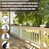 1/10pcs Fence Wall Plastic Anti-Bird Spikes Balcony Eaves Windowsills Bird Repellent Anti-Cat Bird Repeller Thorn supplies 3
