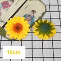 Sunflower Head 7
