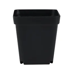 Set of 10 Colorful Mini Square Gardening Pots for Succulents and Seedlings (10PCS BLACK)