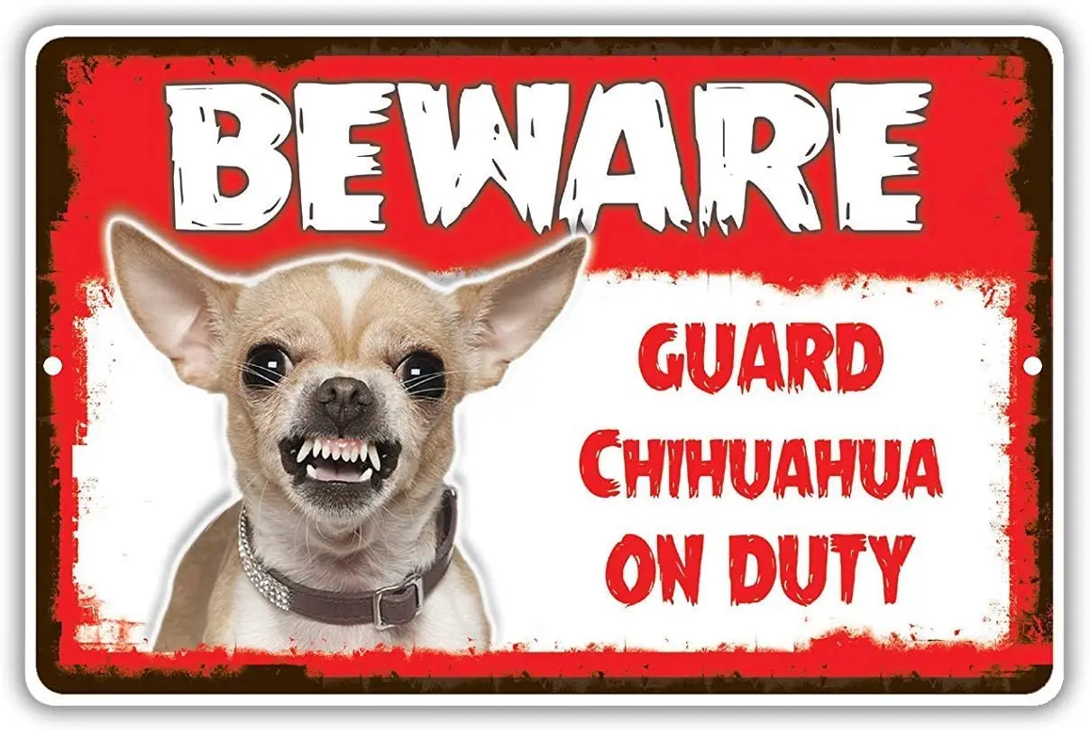 

Tin Sign Beware Guard Chihuahua Dog On Duty Warning Sign - Metal Tin Sign 8x12Metal Bar, Living Room Decoration, Restaurant