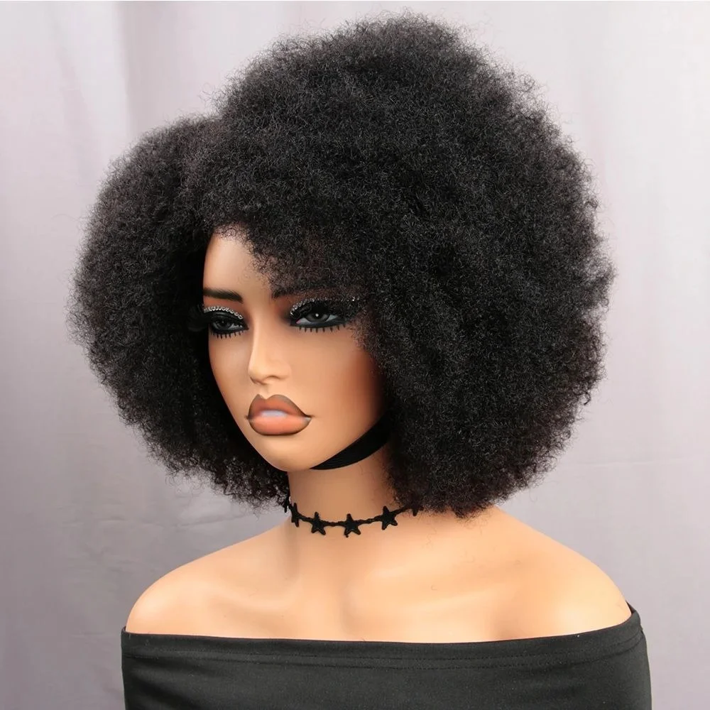 250% Density Afro Wigs for Black Women Kinky Curly Lace Front Wig Afro Short Bob Human Hair Wig 13x4x2 Lace Natural Hairline