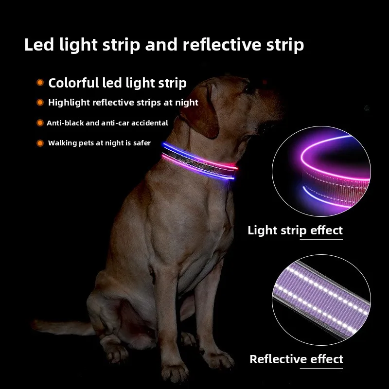 A dog sitting in the dark wearing a glowing collar, with inset circles highlighting the dual-effect of the colorful LED strip and the high-visibility reflective stitching.