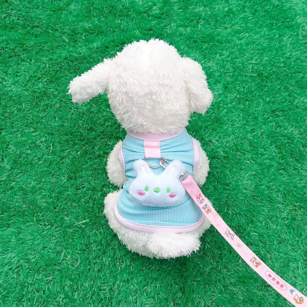 애완동물 조끼 통기성 좋은 강아지 고양이용 조끼 털빠짐 방지 자외선 차단 셔츠 구멍 있는 귀여운 테디 강아지 탱크탑 액세서리