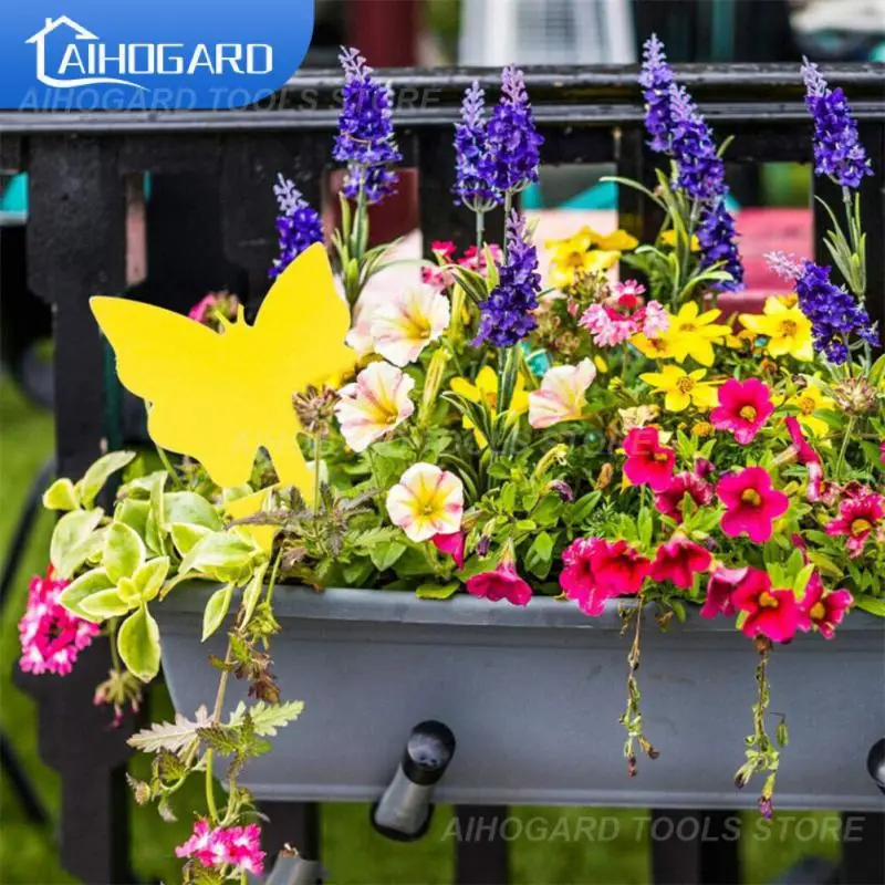 Rete Da Pesca Trappola A Solvente Trappola Per Topi Zanzara Trapstar Giardinaggio Accessori Edifici Da Giardino Repellente Per Scarafaggi