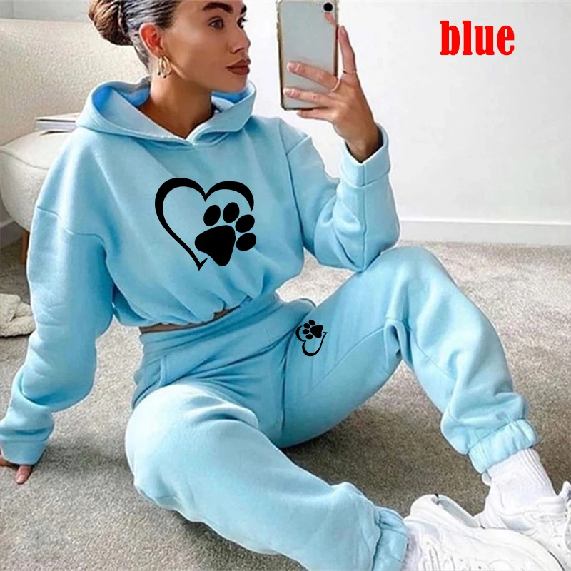 New Women Tracksuit Hoodie and Pants Casual Sport Suit Winter 2 Piece Set 8 Colors Jogging Suit