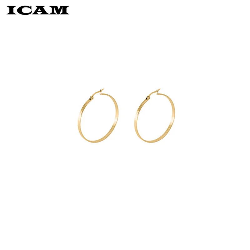 ICAM Fashion New 1 PairsGold Silver Small Big Circle Stainless Steel Hoop Earrings for Women Steampunk Round Earring