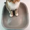 Cat Litter Box Accessories Bottom Capsule Bracket Silicone Pad That Bin Litter Mat Replacement for Self-Cleaning Cat Litter Box 5
