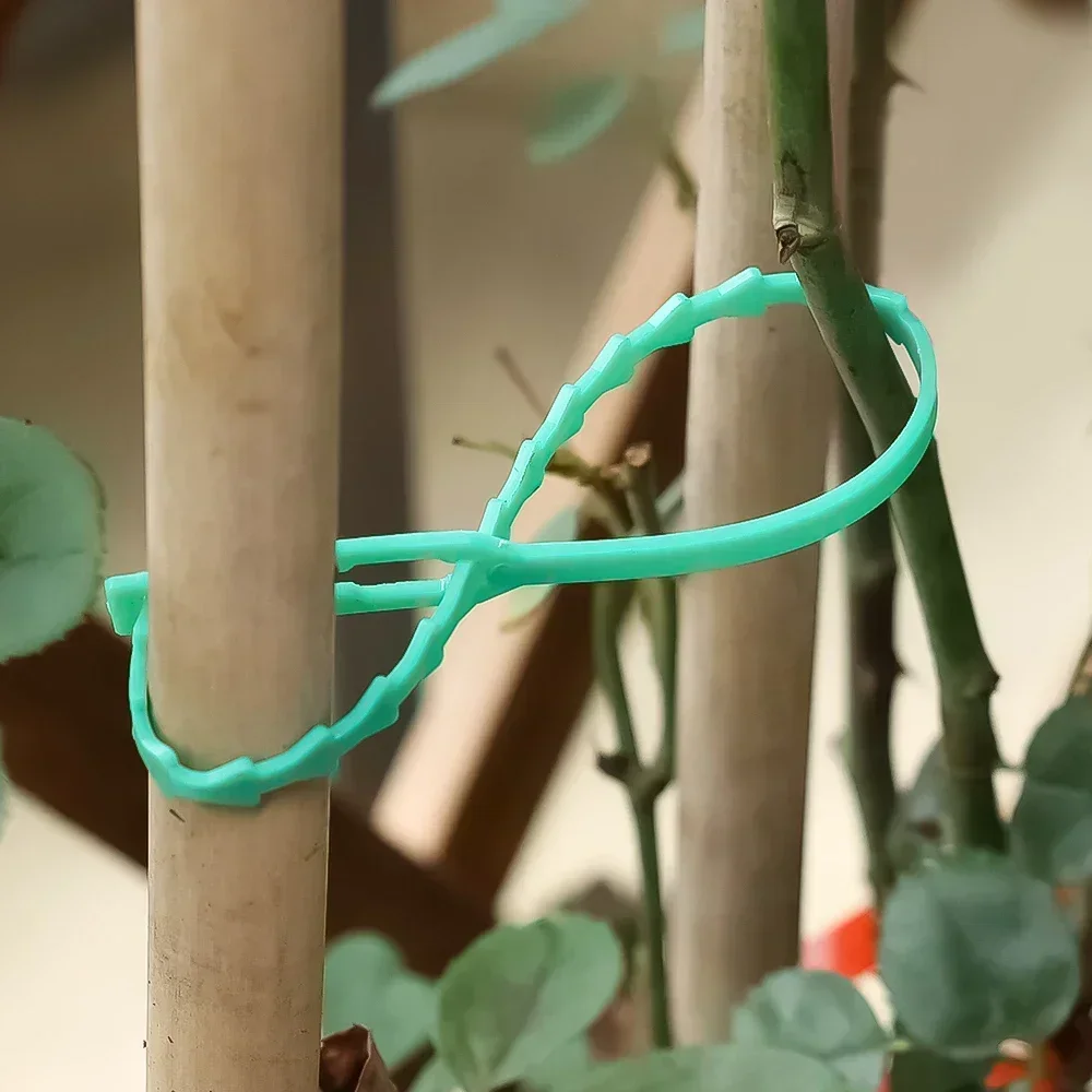 Adjustable Reusable Garden Cable Ties for Plant Support and Organization