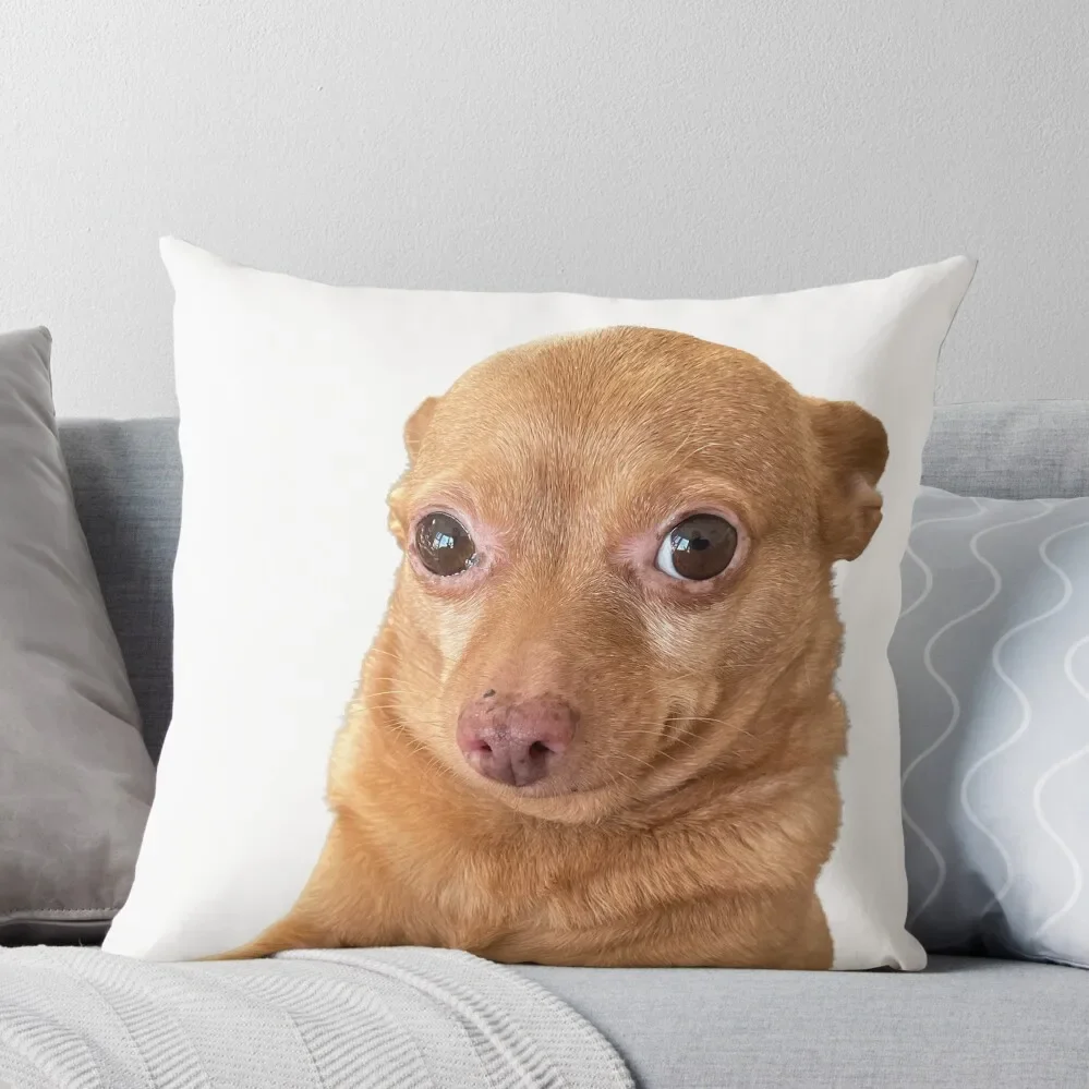 

Mr. Mouse Throw Pillow Pillow Case Decorative Sofa Cushions