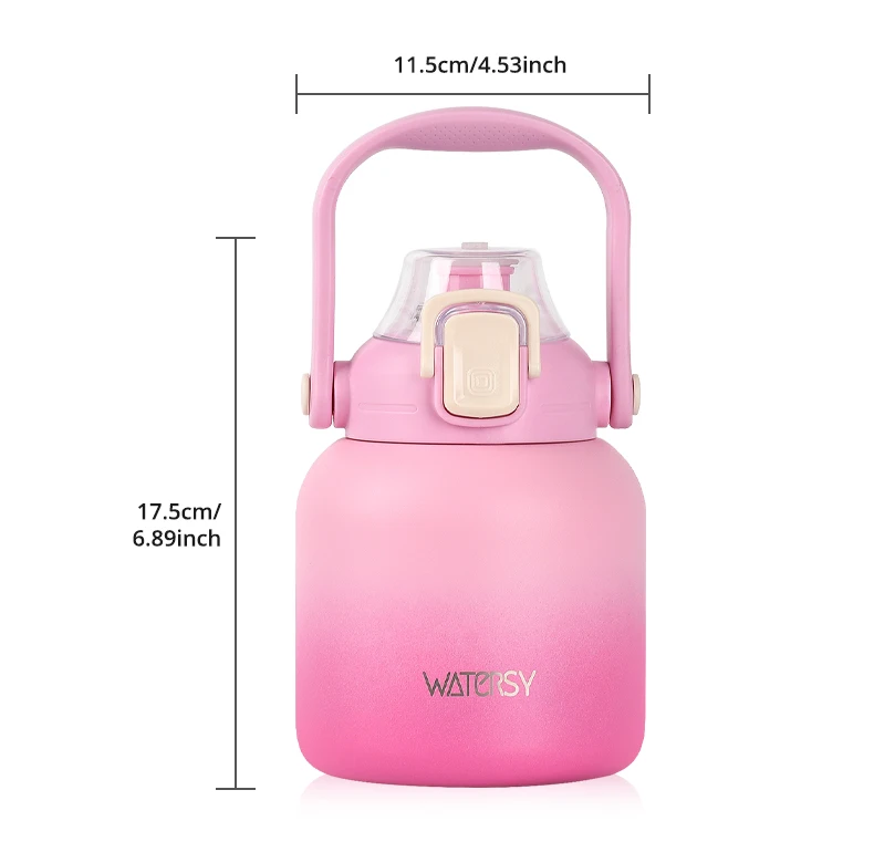 WATERSY 800ml Stainless Steel Water Bottle Double Wall Vacuum Insulated Thermal Cup with Straw & Handle, for Travel Gym Office