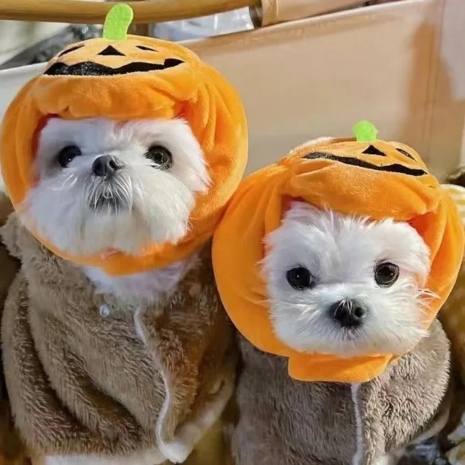 Cute Pet Hat Halloween Pumpkin Pet Dog Cat Hat Dress Up Headdress Small Dog Cat Cosplay Costume Decorative Accessoires