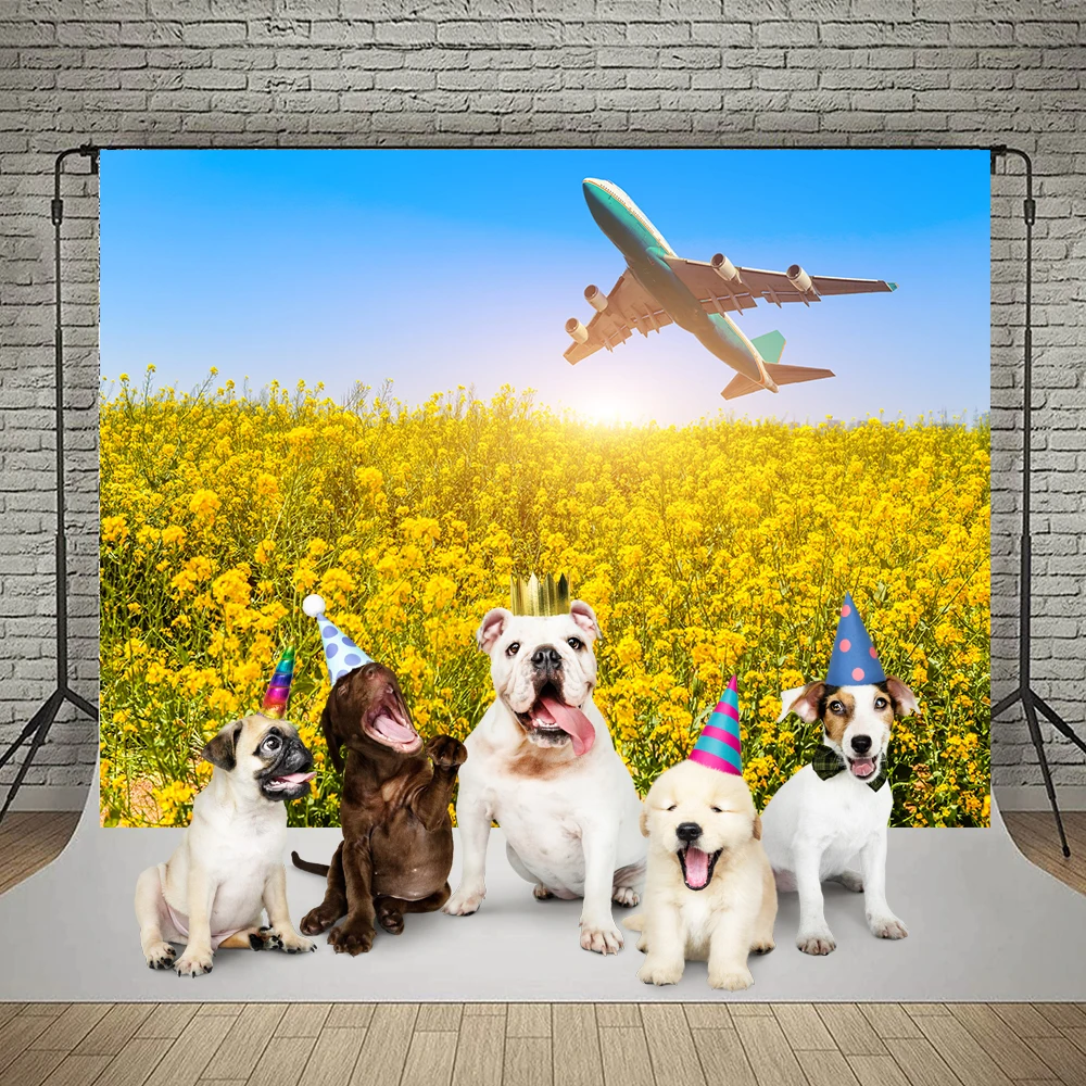  θƽ ٴ  ׸ ʻȭ Photocall  Photoboth ǰ  Ʃ  