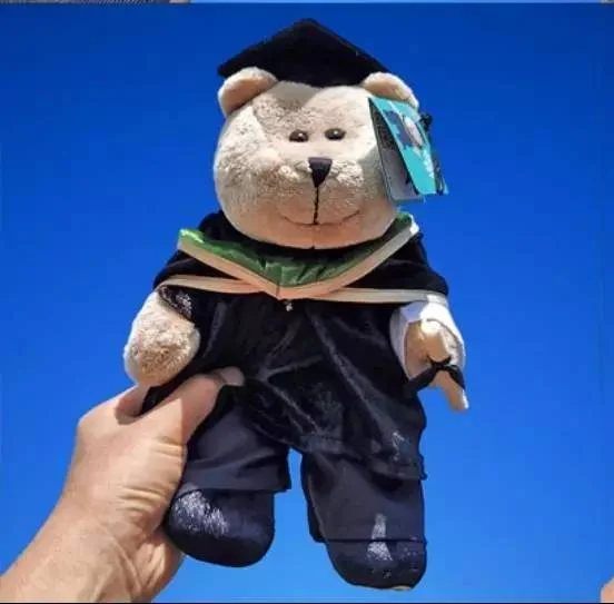 

Memory Bear