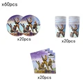60pcs