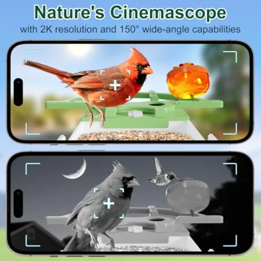 description