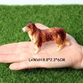 Dog 27