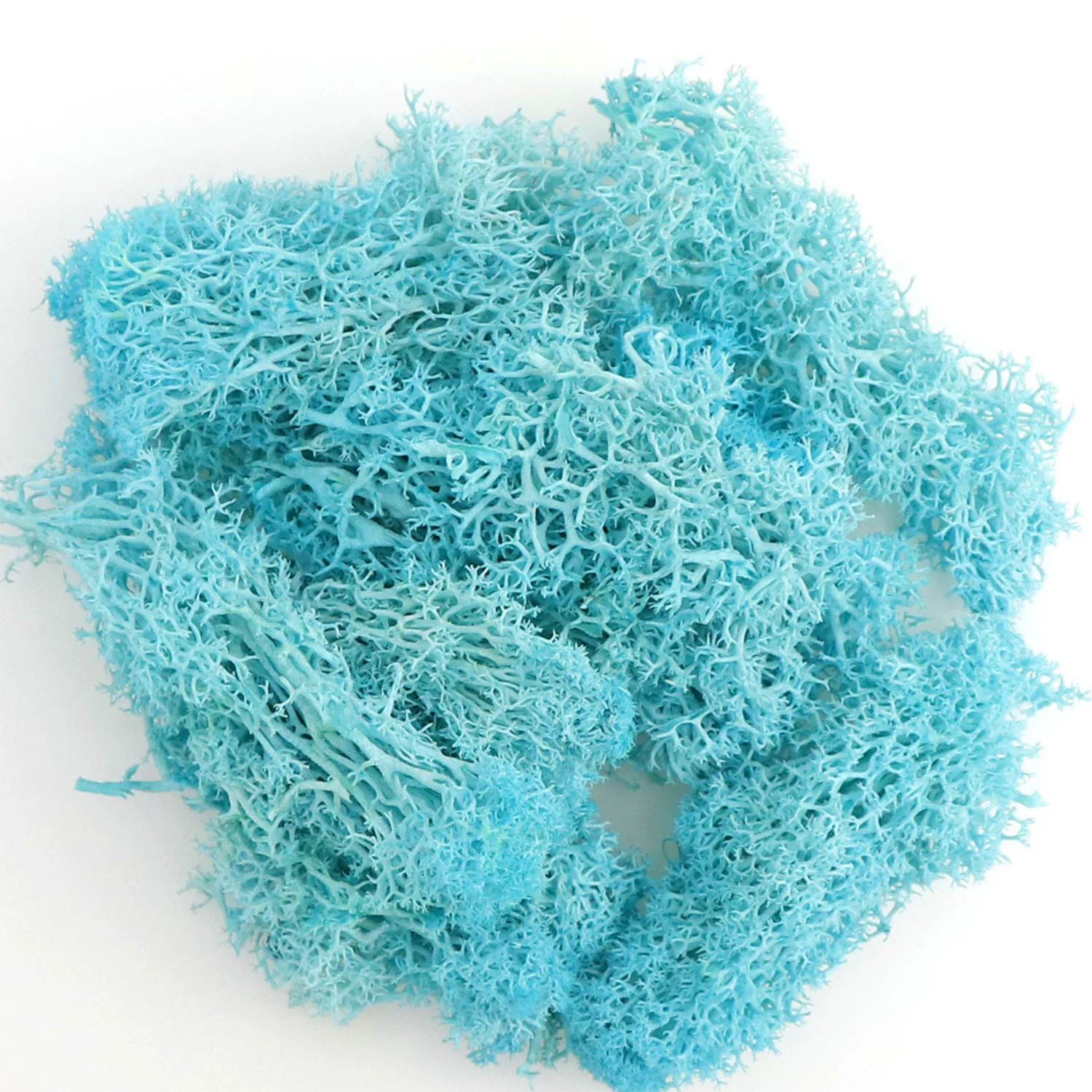 20 g künstliche grüne Moospflanzen, ewiges Lebensgras, Mini-Landschaft, Kunstrasen, DIY-Handwerk für Zuhause, Wohnzimmer, Garten, Dekoration – Detail 26